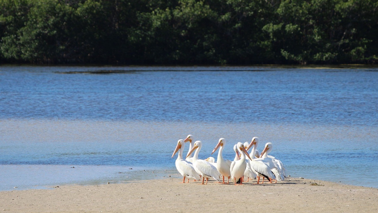 Photo of Others in West Rocks