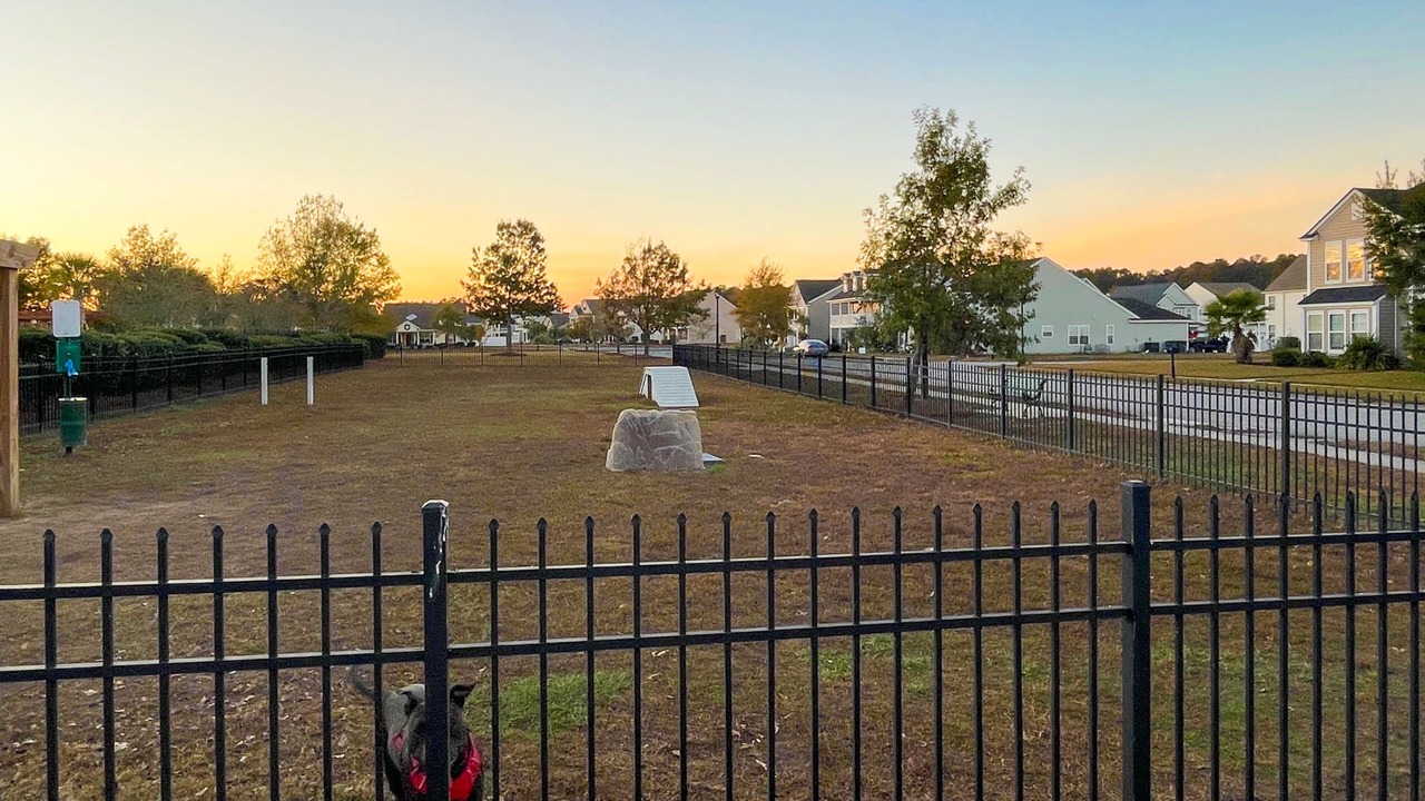 Photo of Outdoor in Port Wentworth