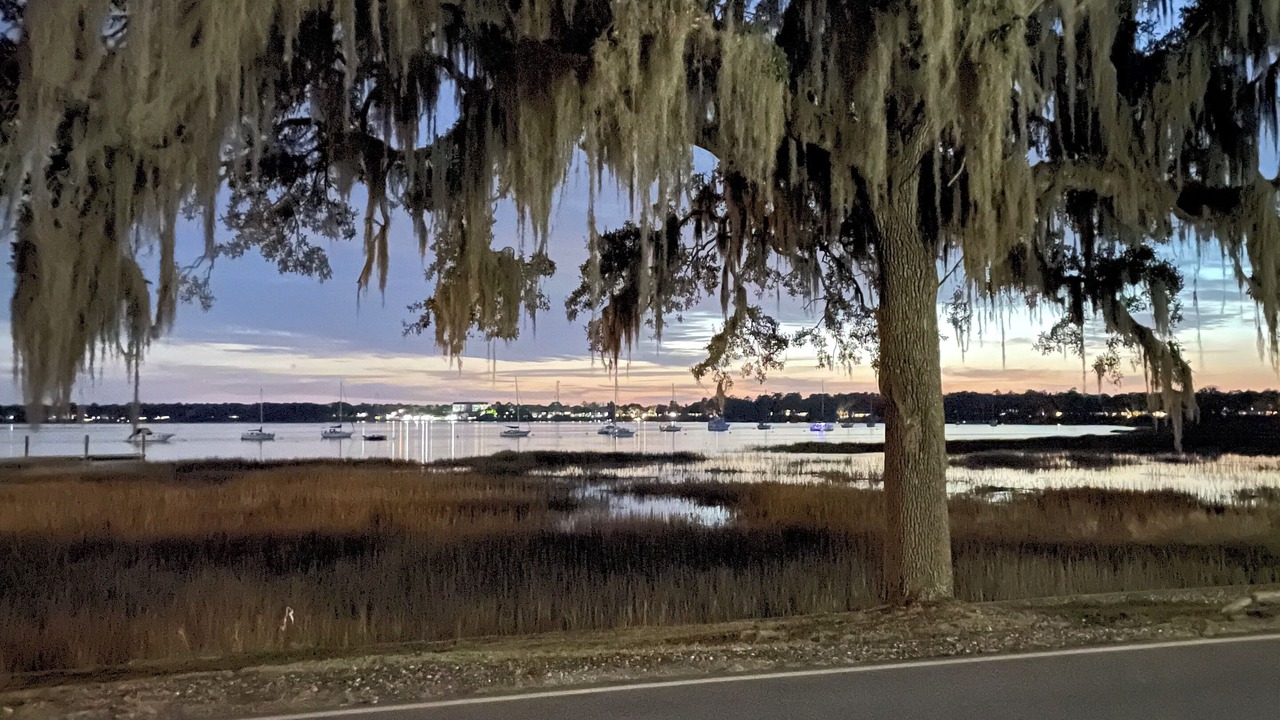Photo of Others in Beaufort