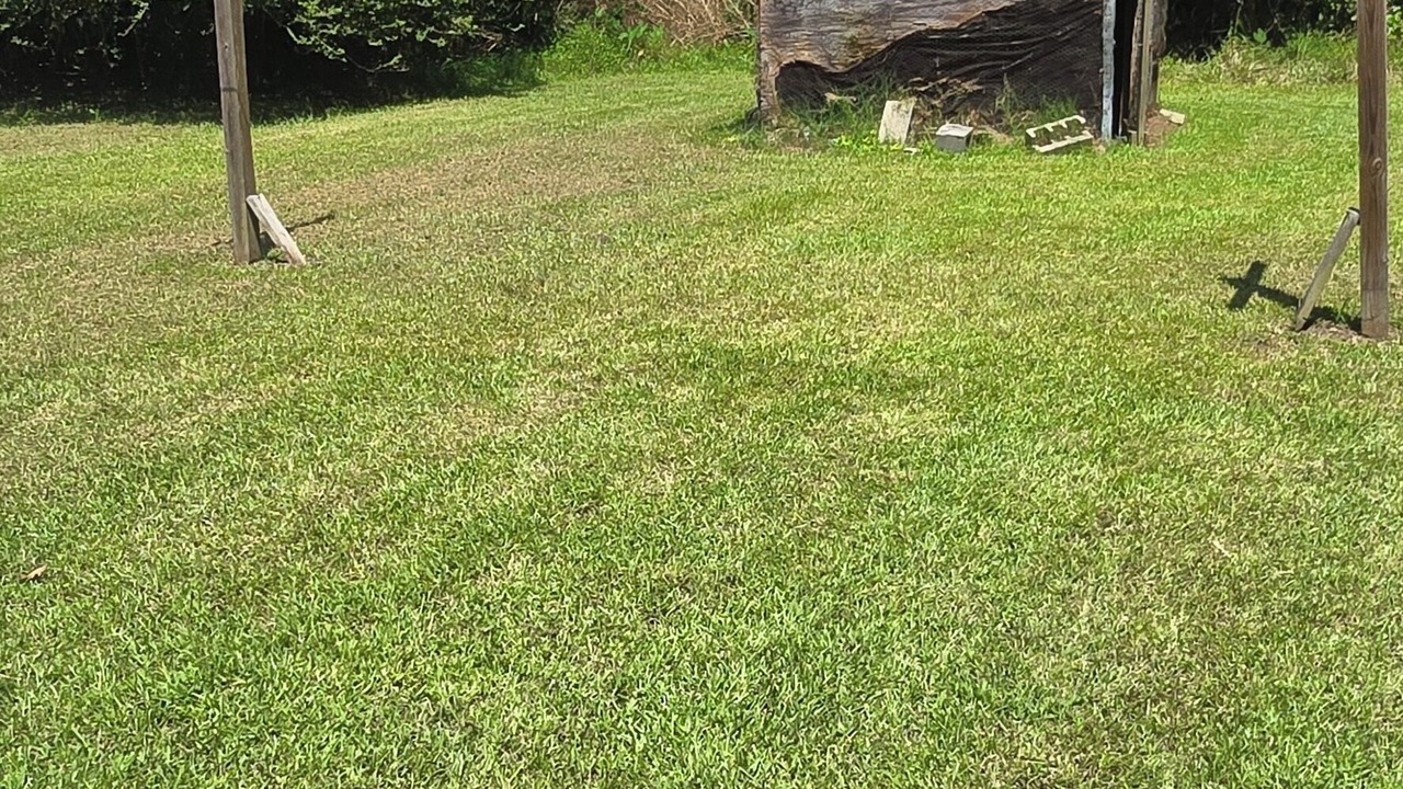 Photo of Outdoor in Conway