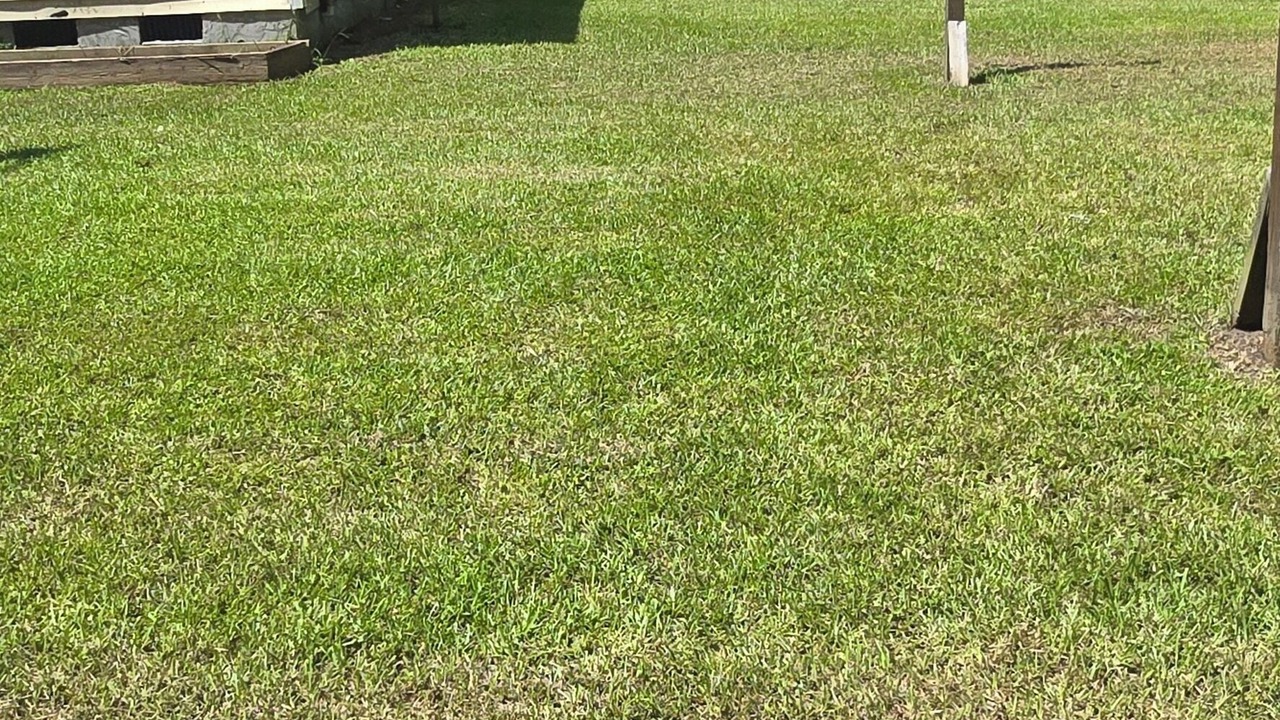 Photo of Outdoor in Conway