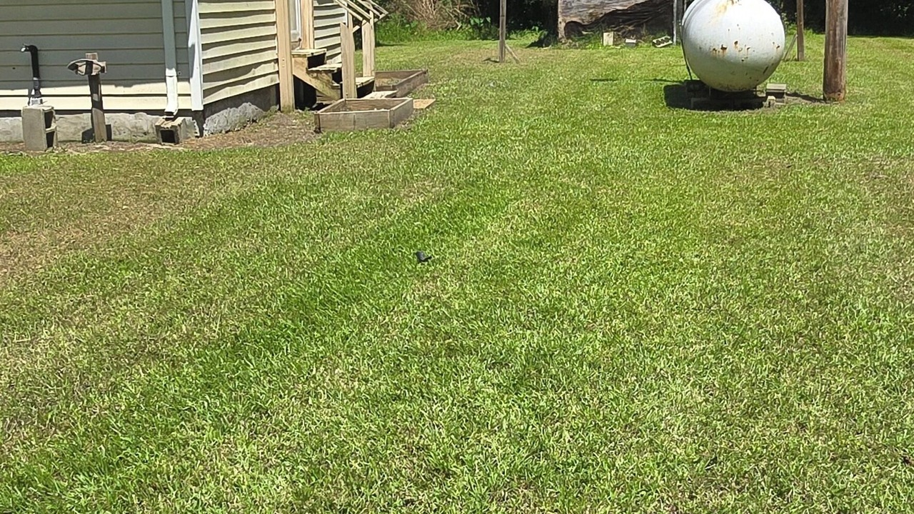 Photo of Outdoor in Conway