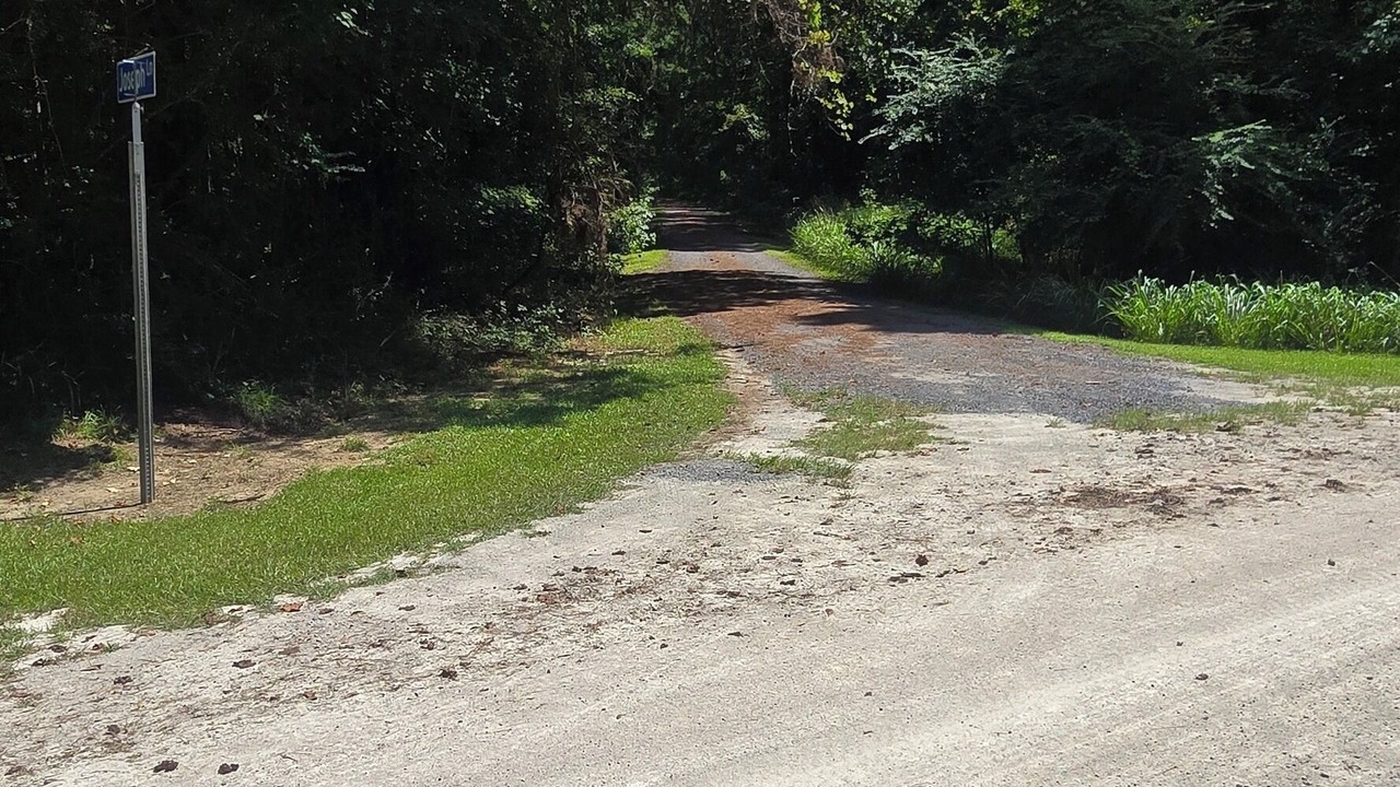 Photo of Outdoor in Conway