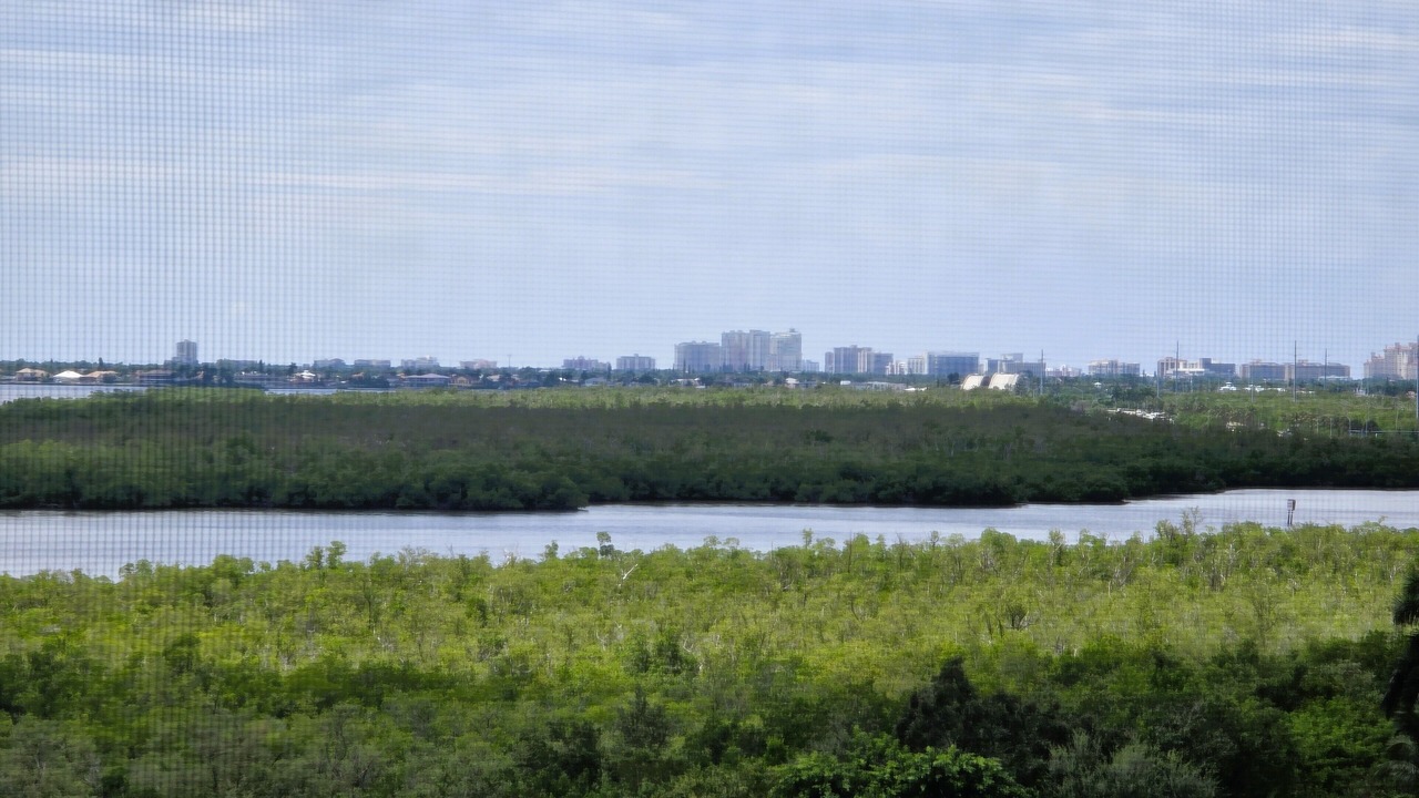Photo of Others in Hammock Bay