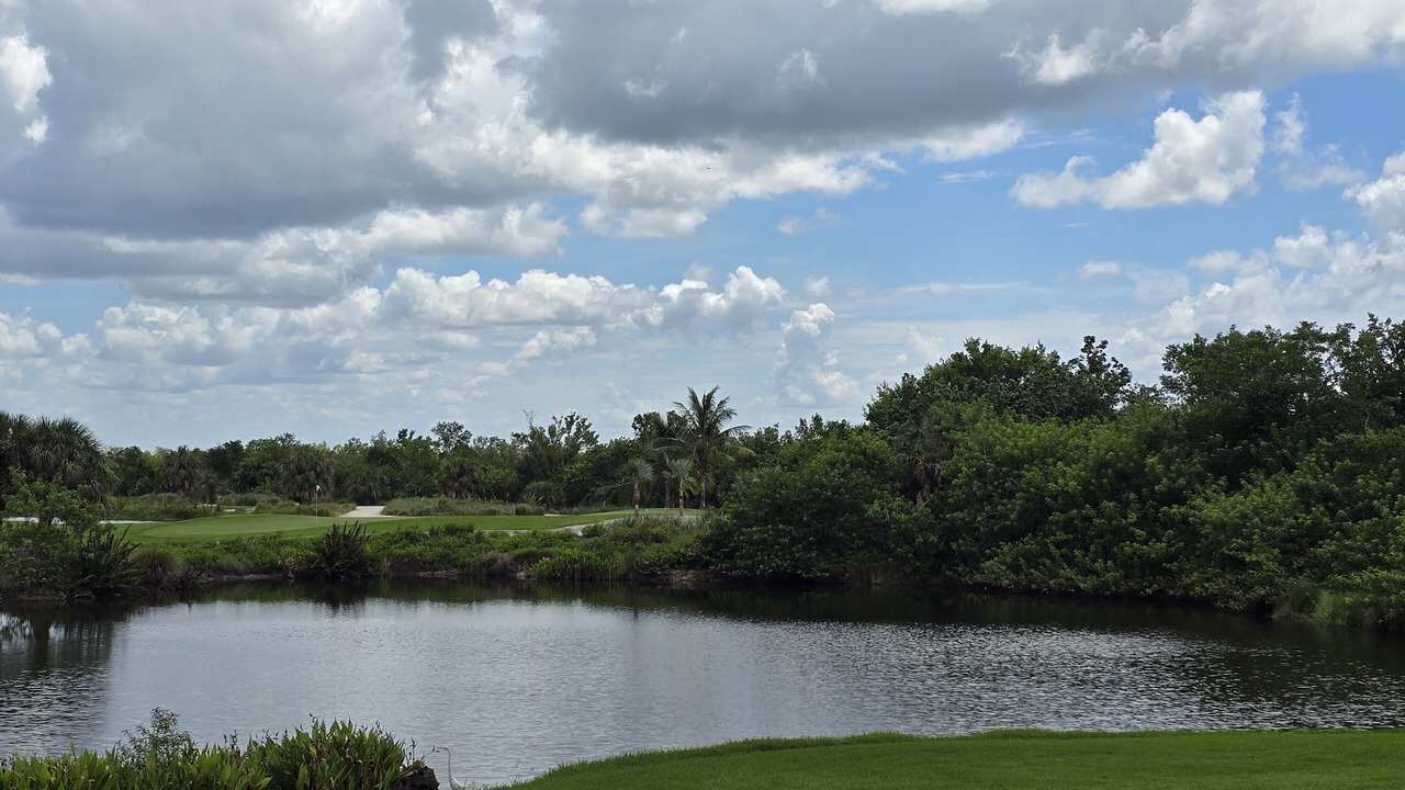 Photo of Others in Hammock Bay