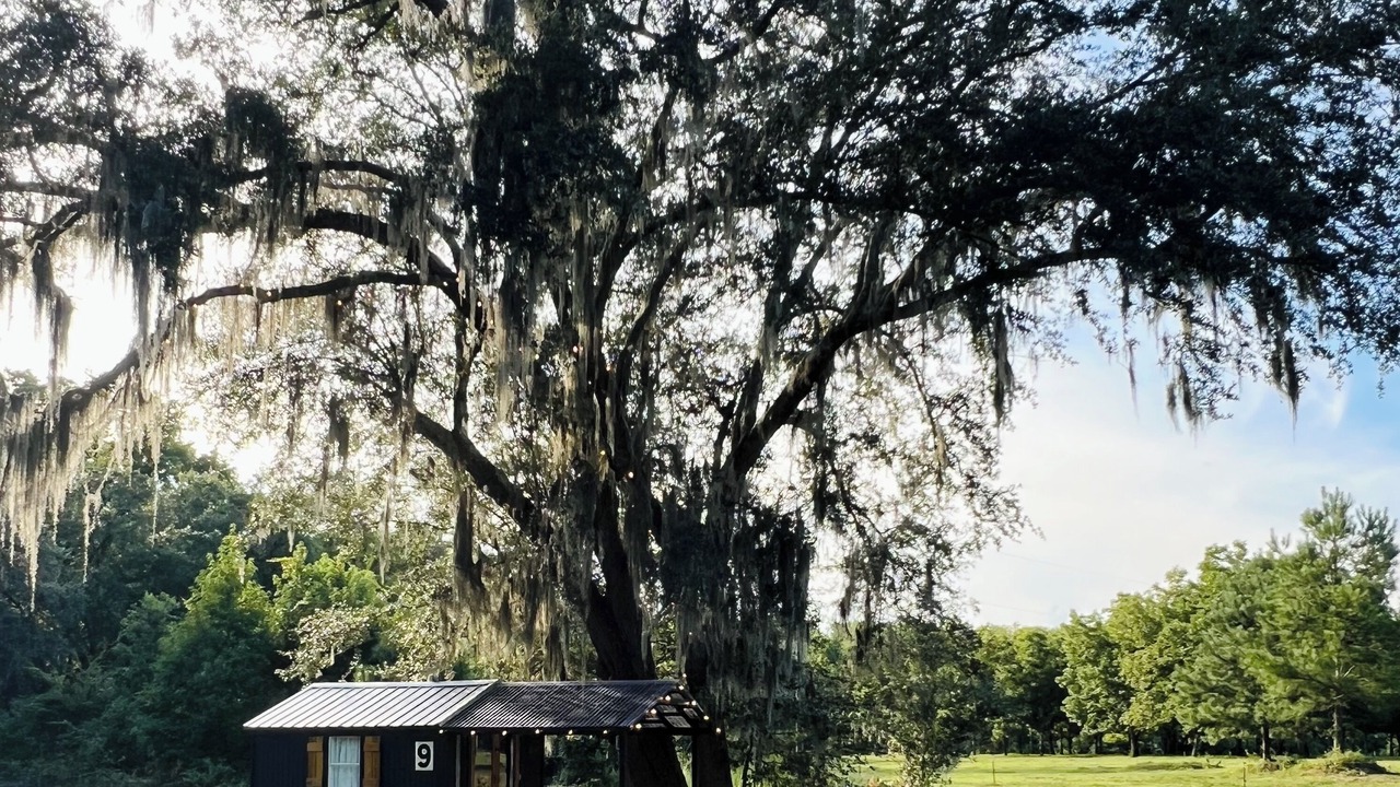 Photo of Outdoor in Yemassee