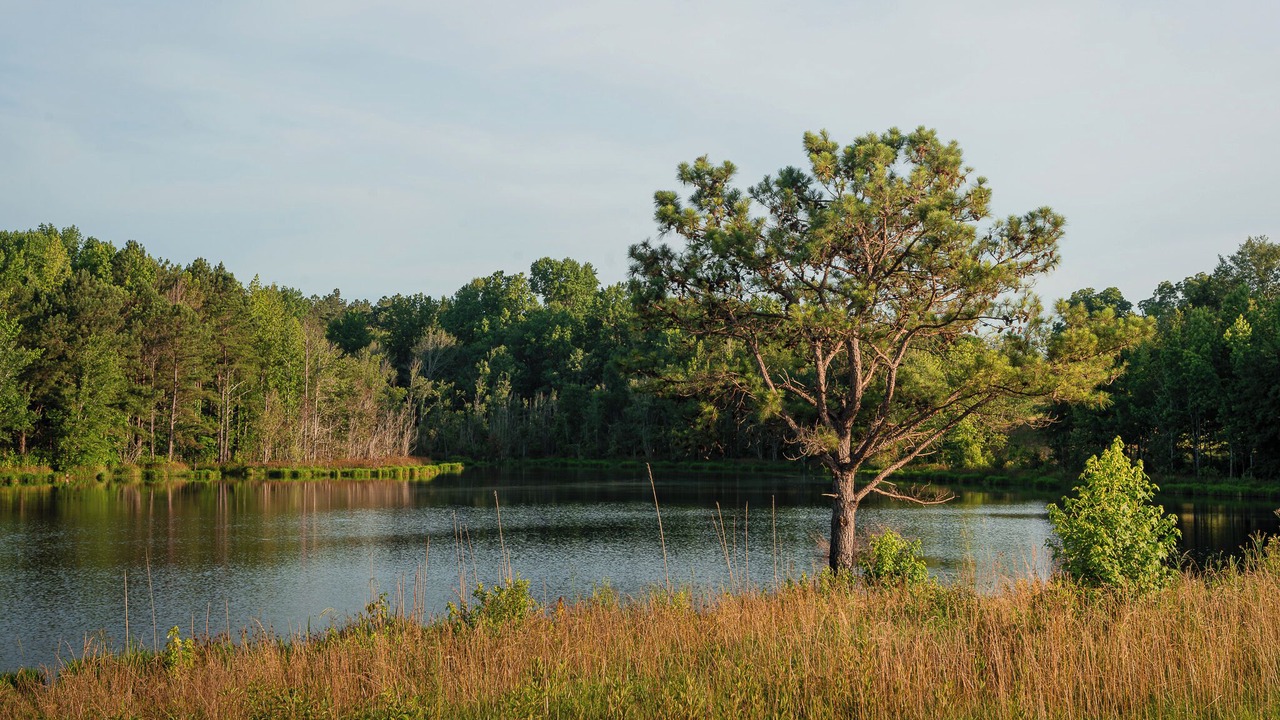 Photo of Outdoor in Hephzibah
