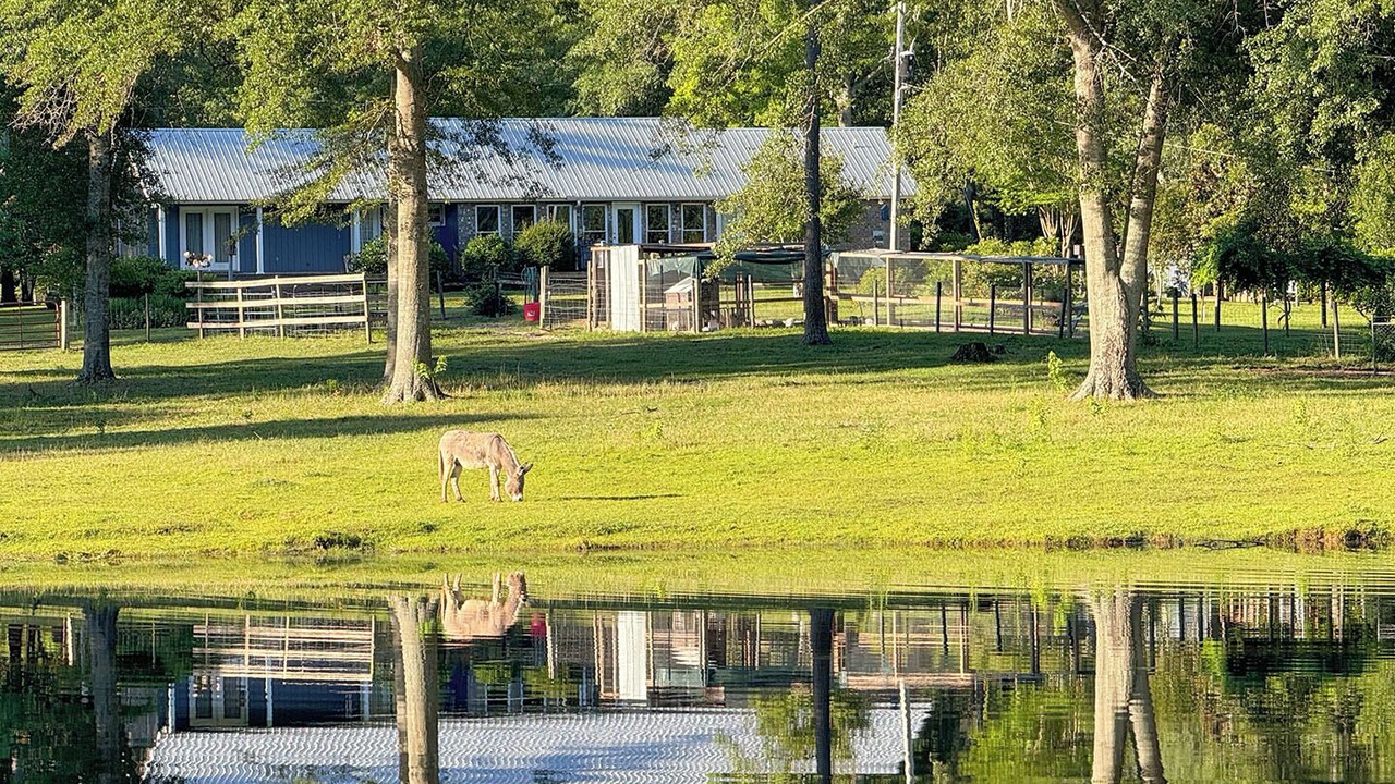 Photo of Outdoor in Metter