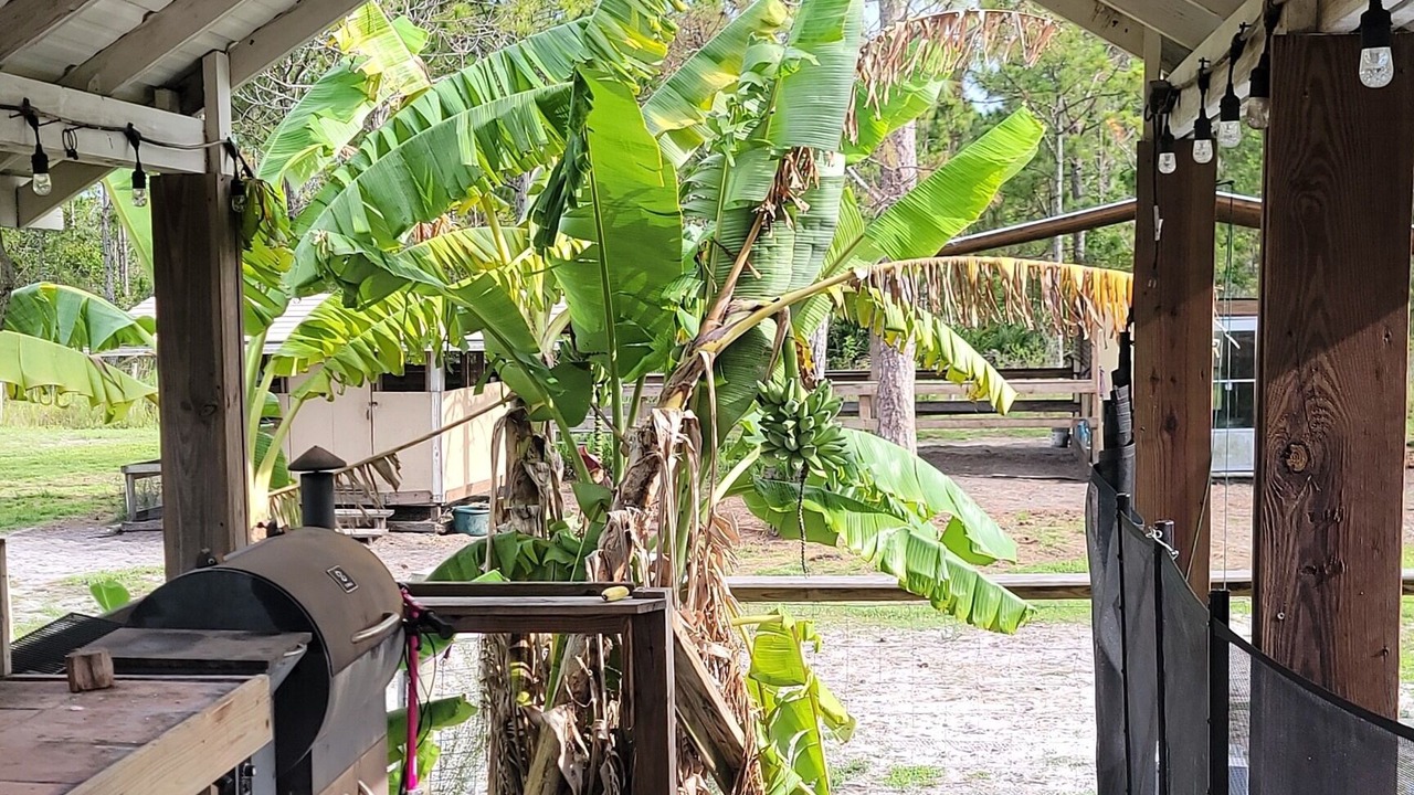 Photo of Outdoor in Florida Indian River