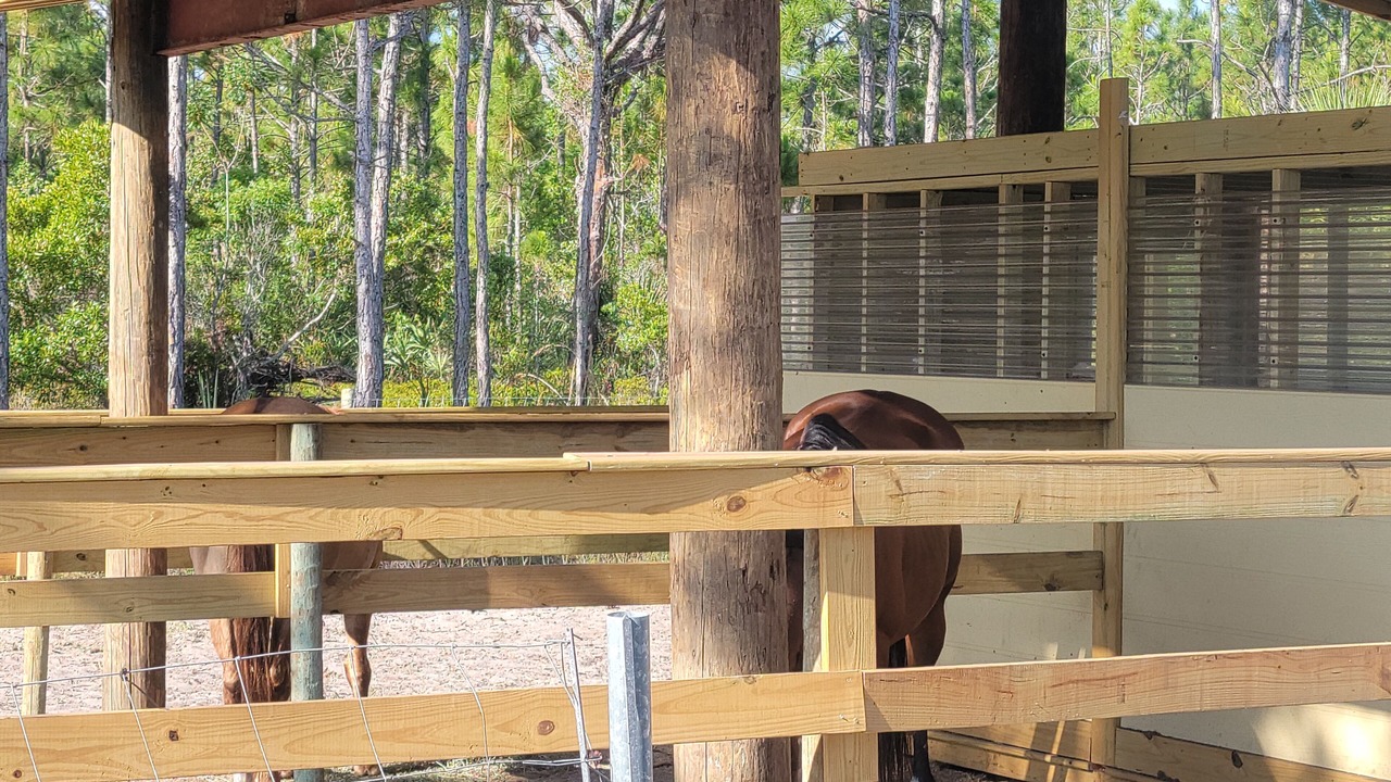 Photo of Outdoor in Florida Indian River