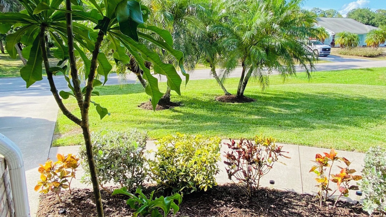Photo of Outdoor in Sebastian Highlands