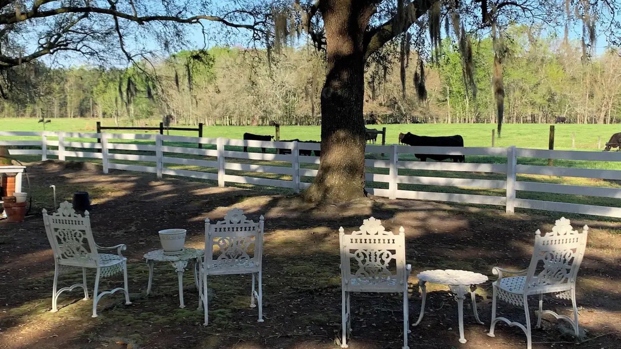 Photo of Outdoor in Williamsburg County