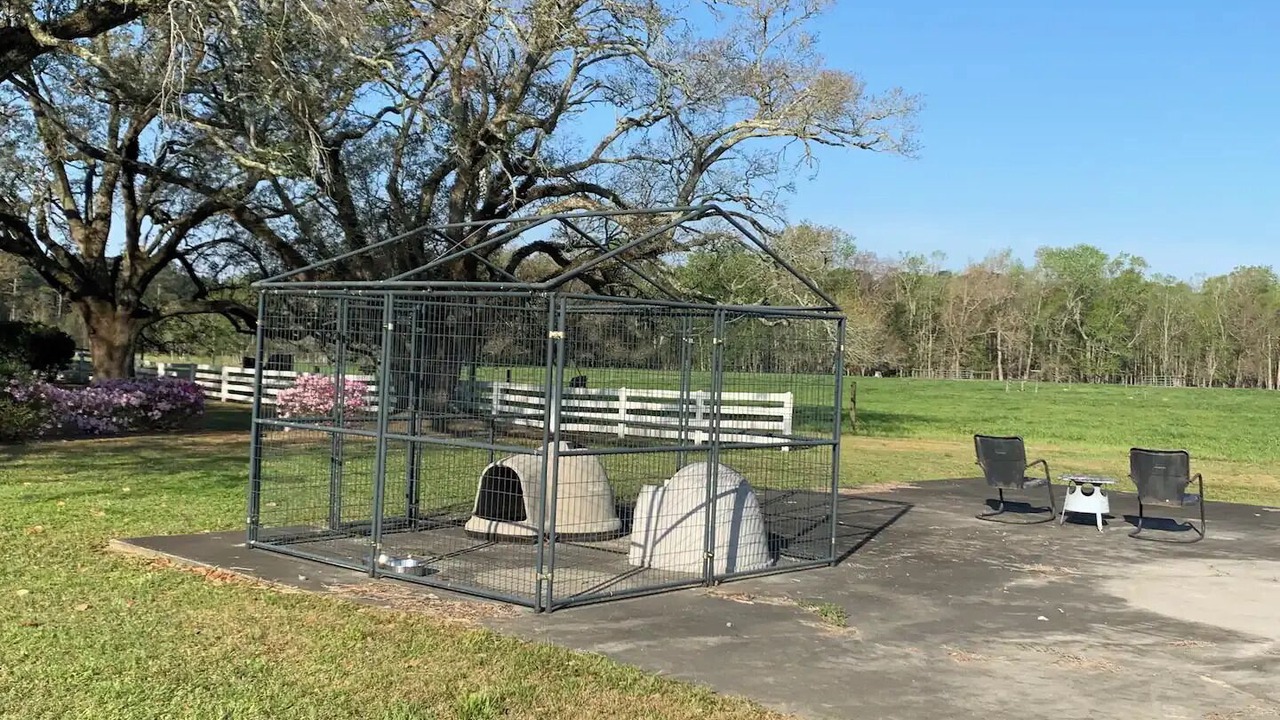 Photo of Outdoor in Williamsburg County