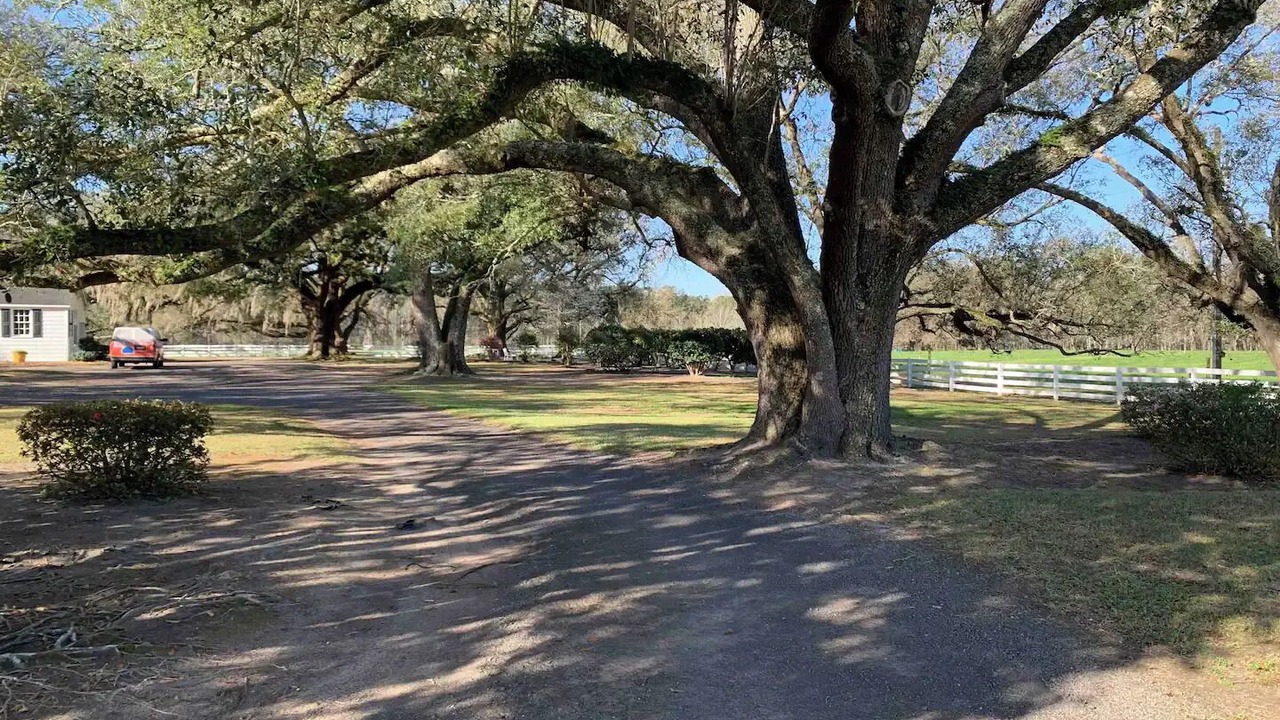 Photo of Outdoor in Williamsburg County