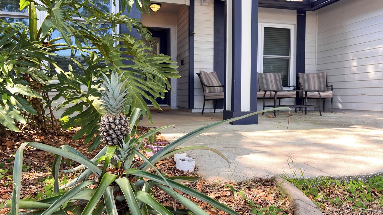 Photo of Outdoor in East County Civic Group