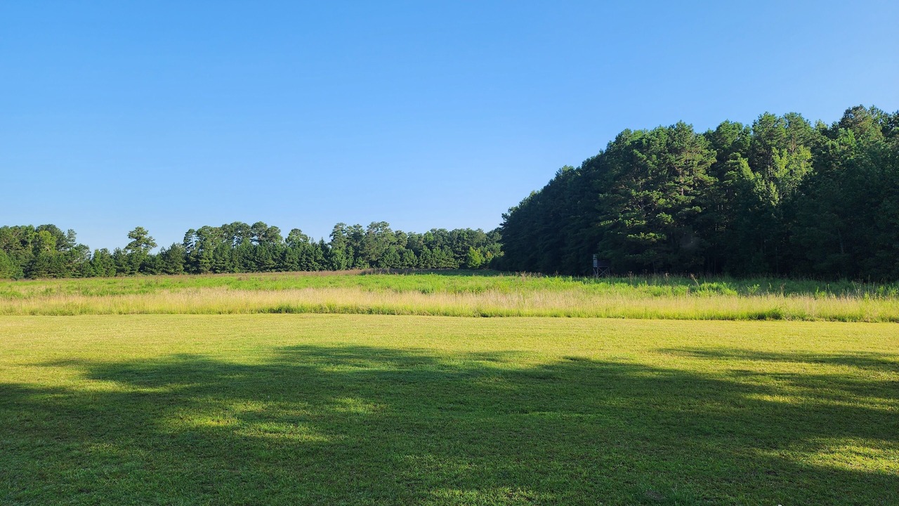 Photo of Others in Whiteville