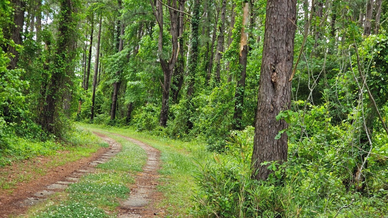 Photo of Outdoor in Whiteville