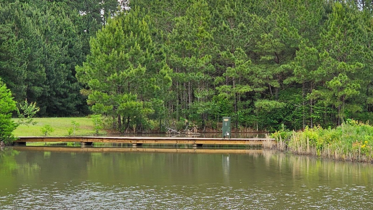 Photo of Others in Whiteville