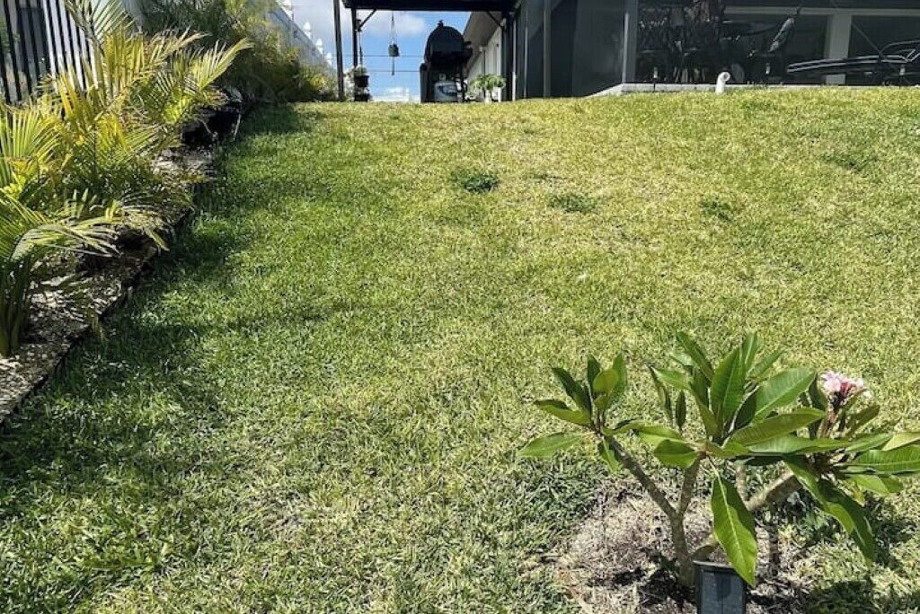 Photo of Outdoor in Mariner