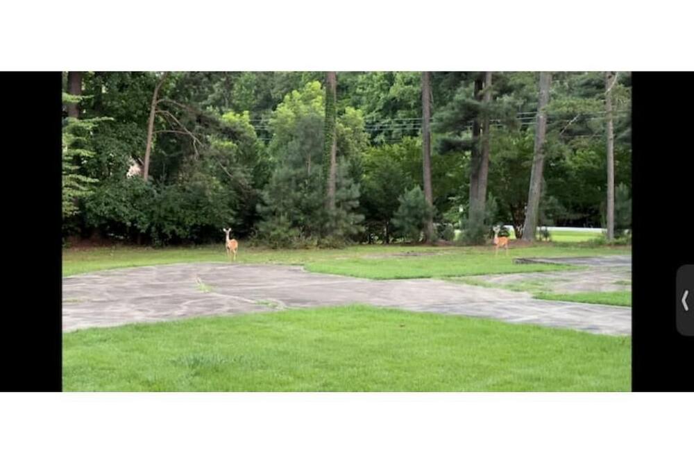 Photo of Others in Raleigh