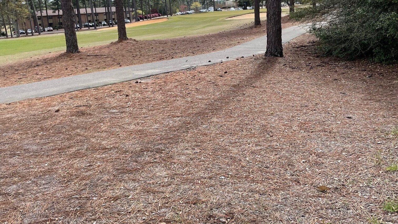 Photo of Outdoor in Foxfire