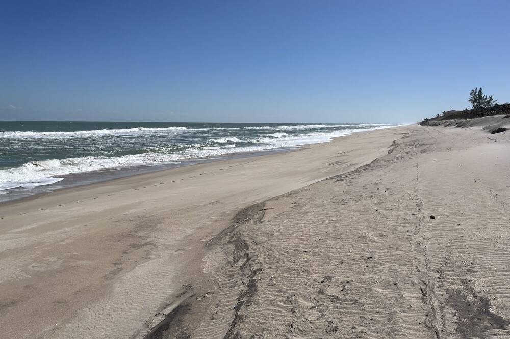 Photo of Others in Melbourne Beach