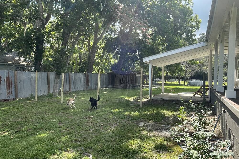 Photo of Outdoor in Oliver
