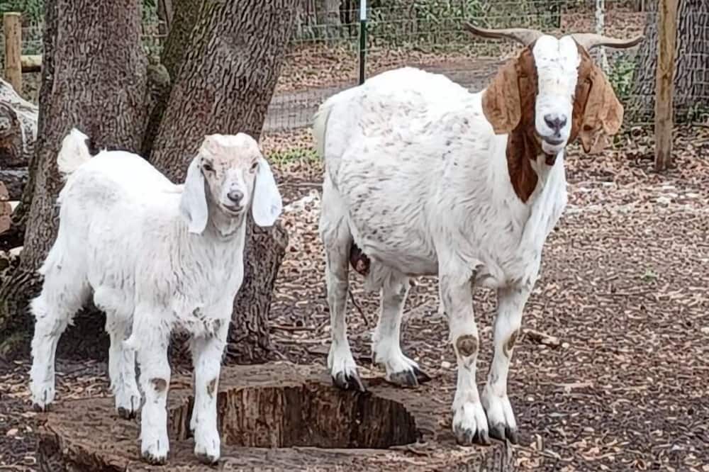 Photo of Others in Dorchester County
