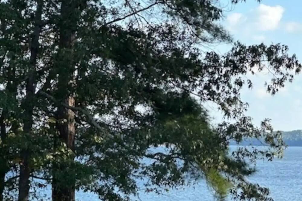 Photo of Outdoor in Townville