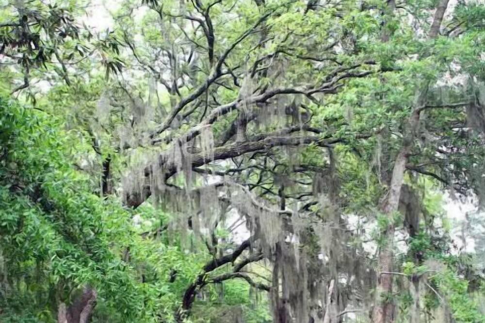 Photo of Others in Folly Field