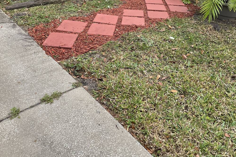 Photo of Outdoor in Winter Haven