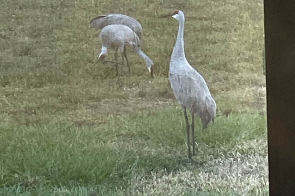 Photo of Others in Winter Haven