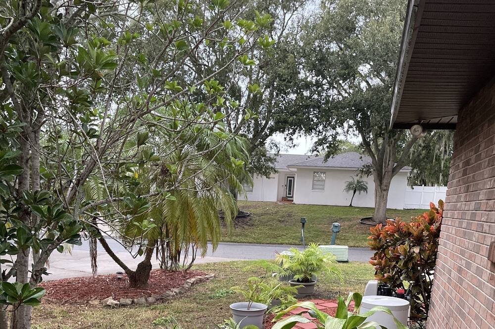 Photo of Outdoor in Winter Haven