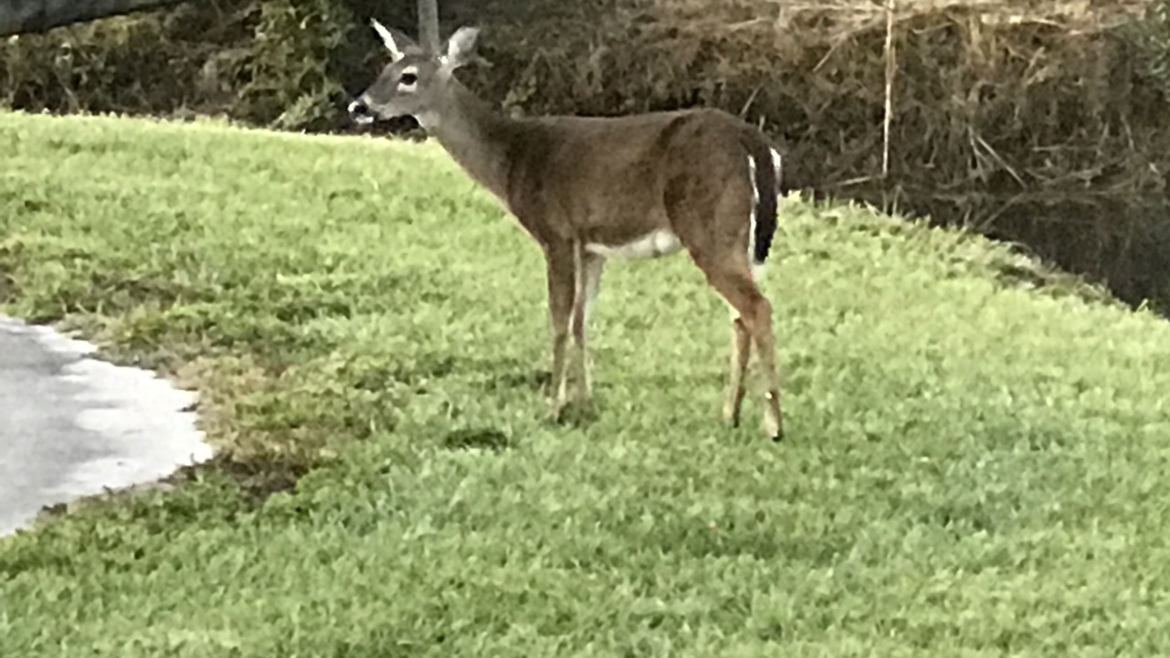 Photo of Others in St. Cloud