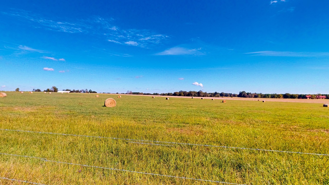 Photo of Outdoor in Gracewood