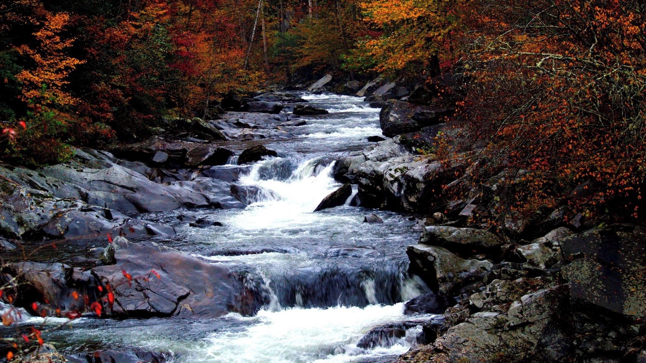 Photo of Outdoor in Loudon