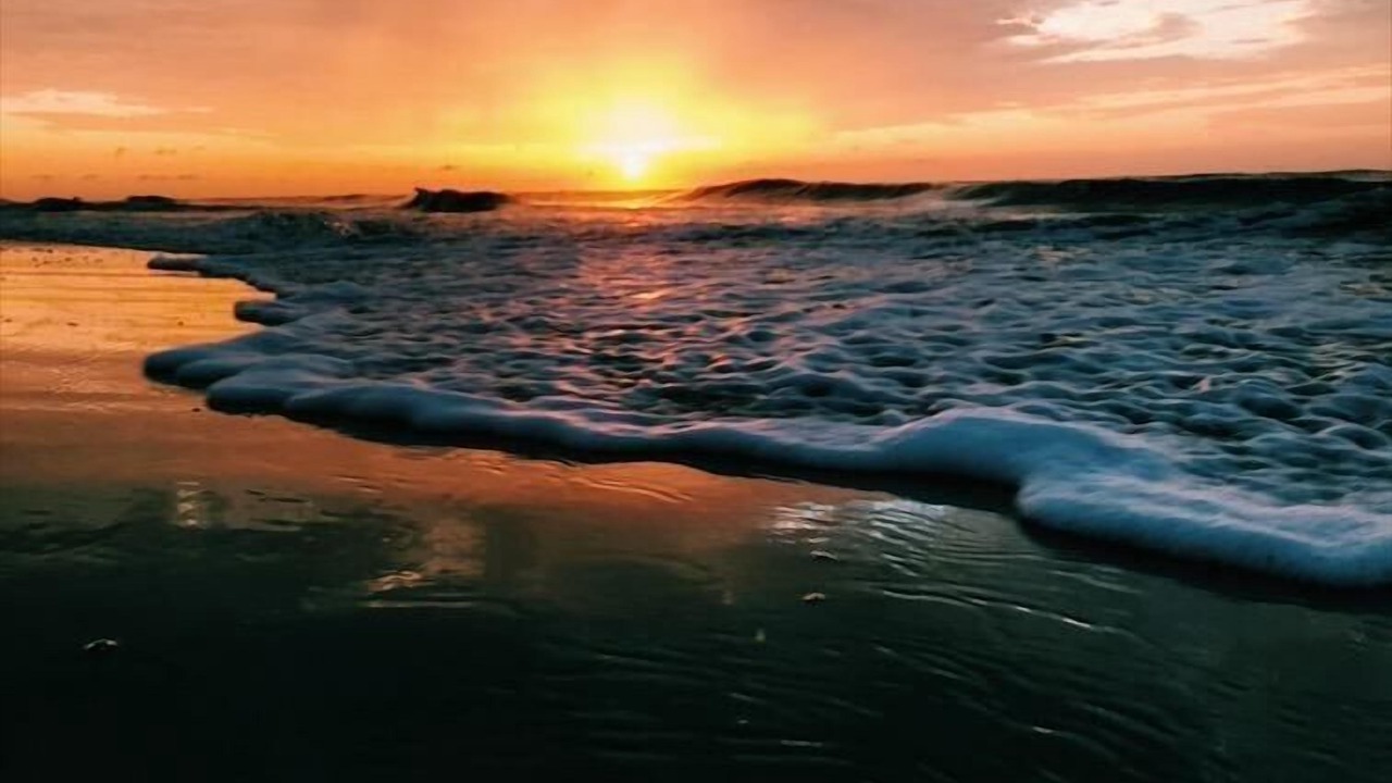 Photo of Others in Tybee Island