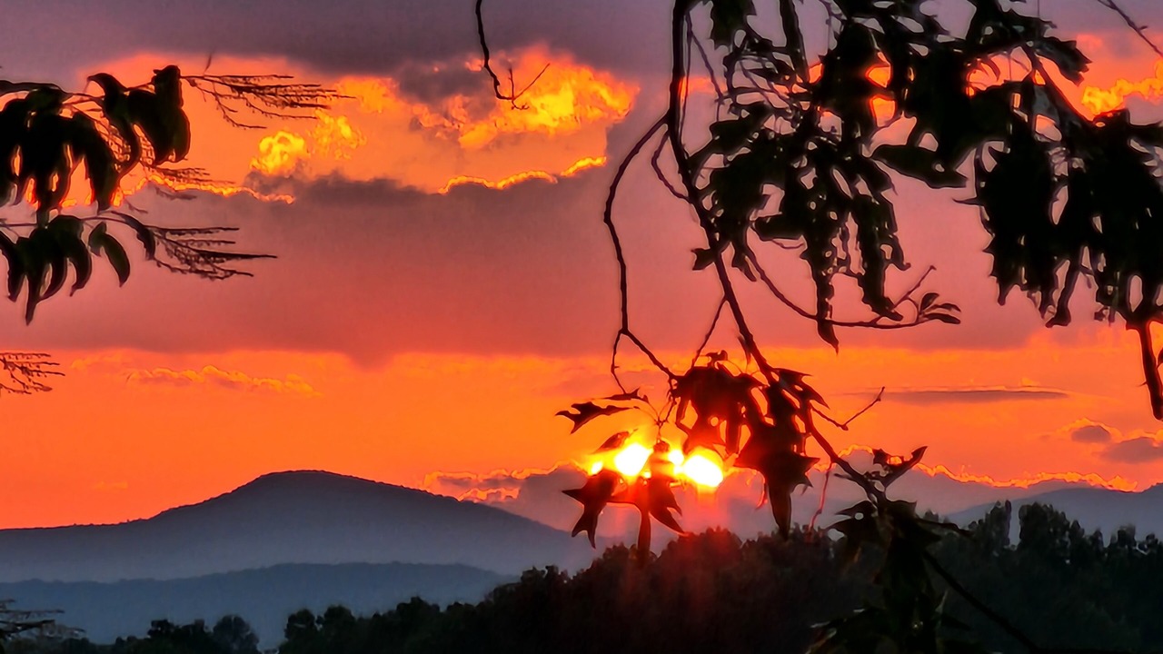 Photo of Outdoor in Clemson