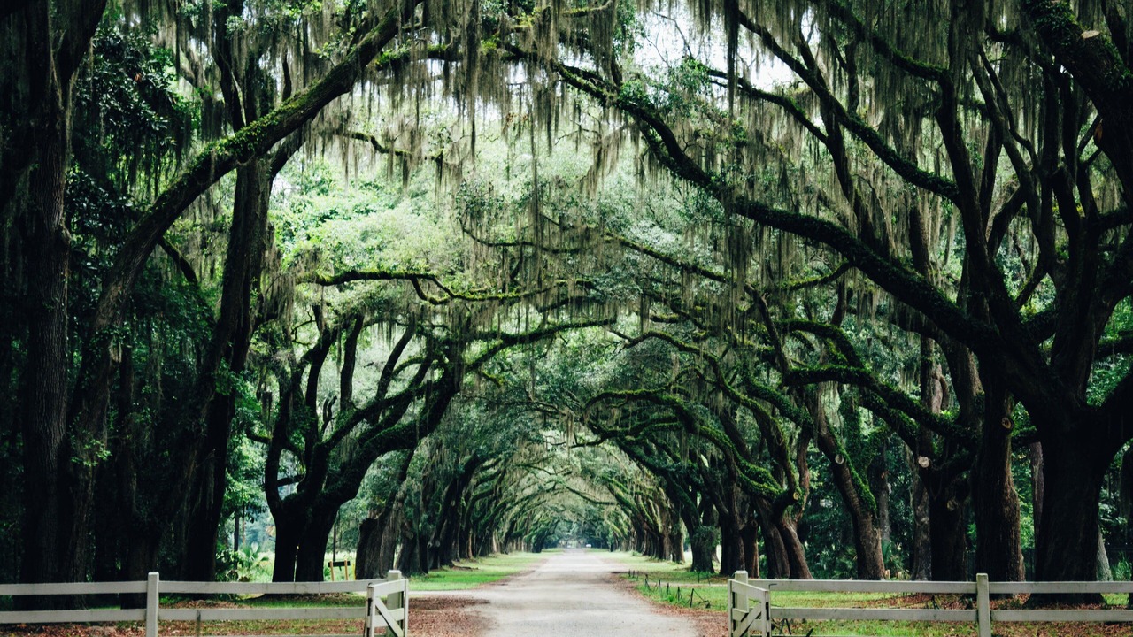 Photo of Others in Historic District - North