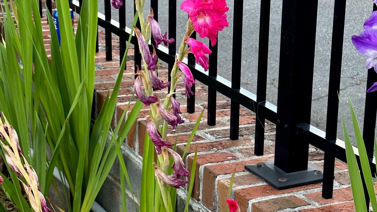 Photo of Outdoor in Northwest Raleigh