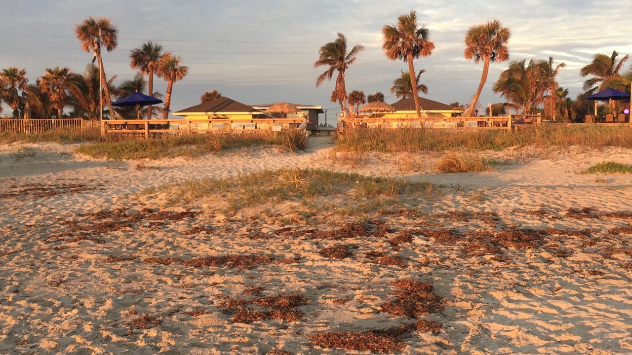 Photo of Others in Cocoa Beach