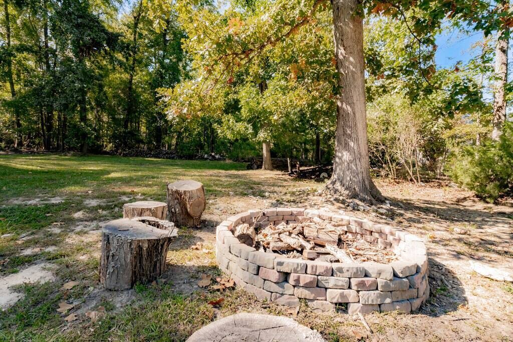 Photo of Outdoor in Chapin