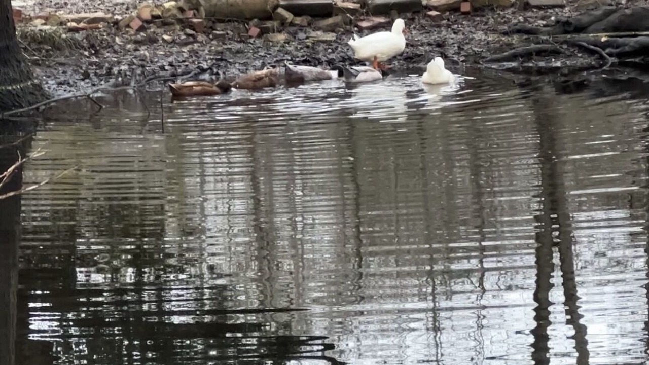 Photo of Others in Colleton County