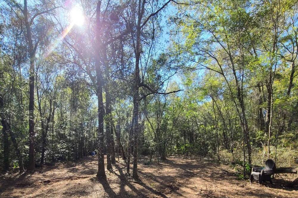 Photo of Outdoor in Jesup