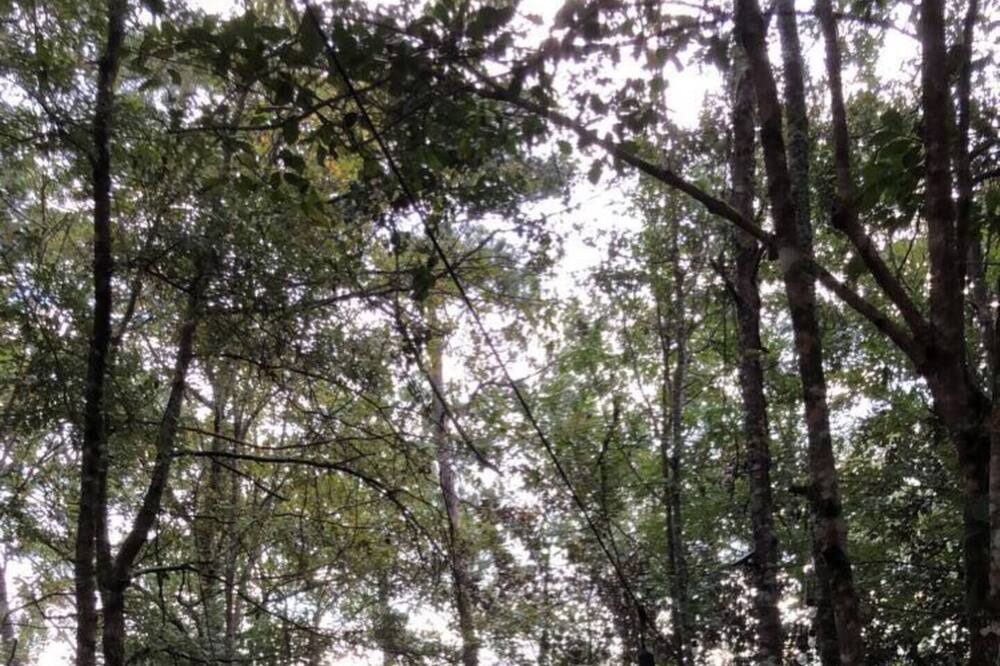 Photo of Outdoor in Jesup