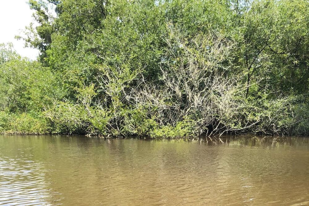 Photo of Outdoor in Jesup