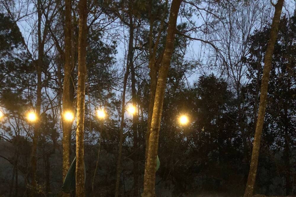 Photo of Outdoor in Jesup
