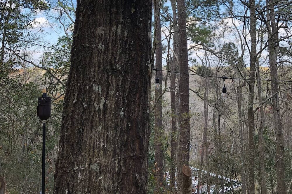 Photo of Outdoor in Jesup