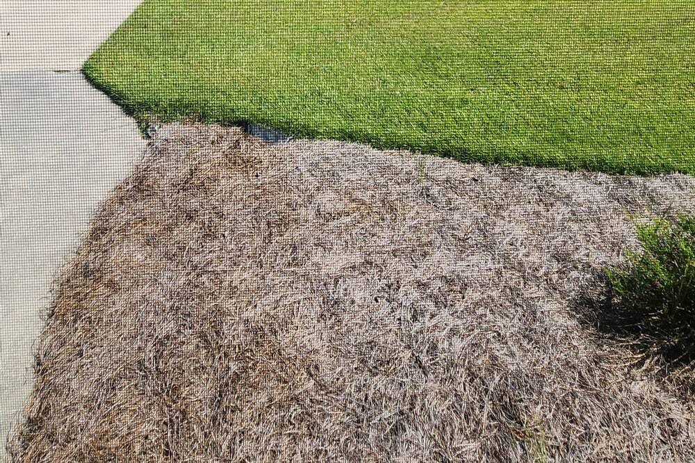 Photo of Outdoor in Waycross