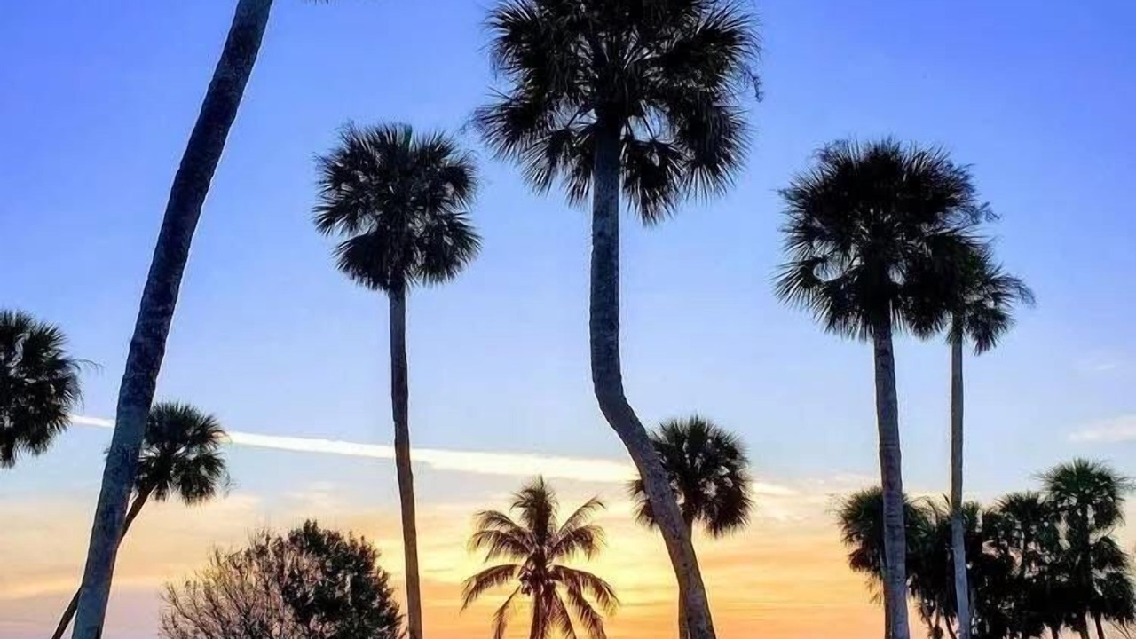 Photo of Outdoor in Sebastian